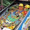 Williams Red & Ted's Road Show playfield.